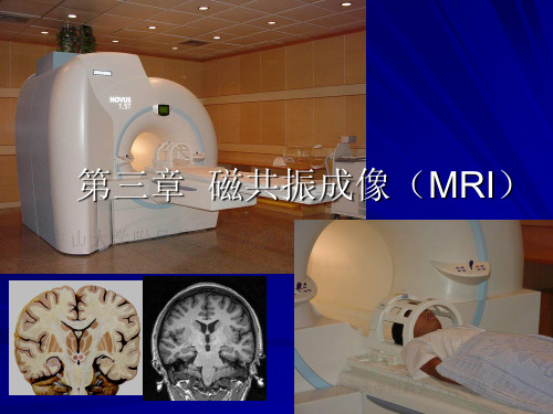 医学影像学：第三章  磁共振成像(MRI)