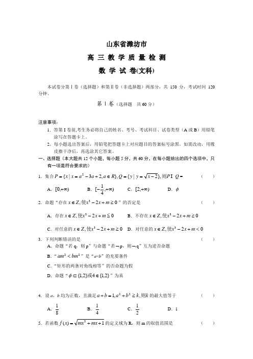 山东省潍坊市高三教学质量检测(数学文)