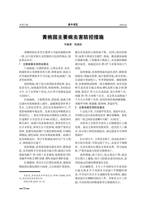 黄桃园主要病虫害防控措施