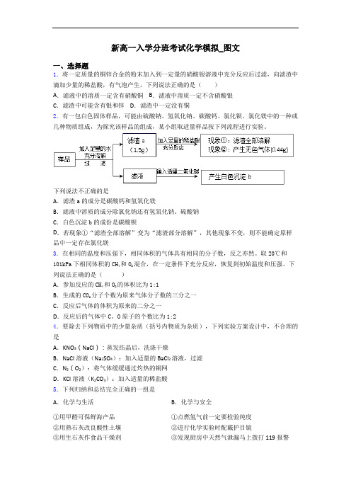 新高一入学分班考试化学模拟_图文