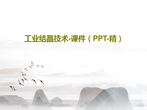 工业结晶技术-课件(PPT-精)共77页