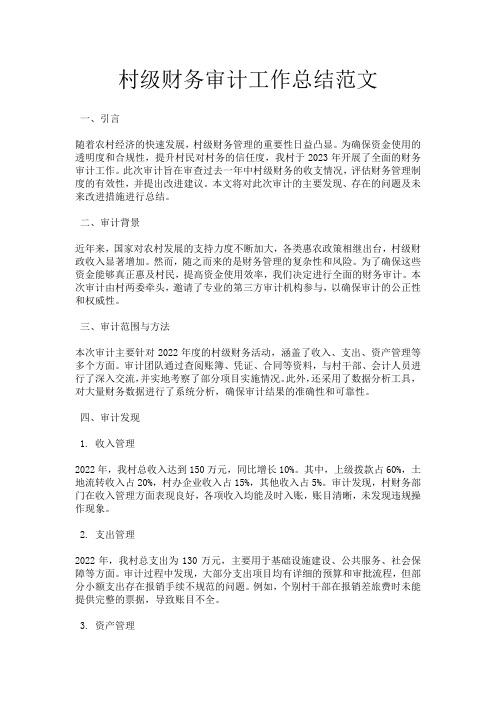 村级财务审计工作总结范文