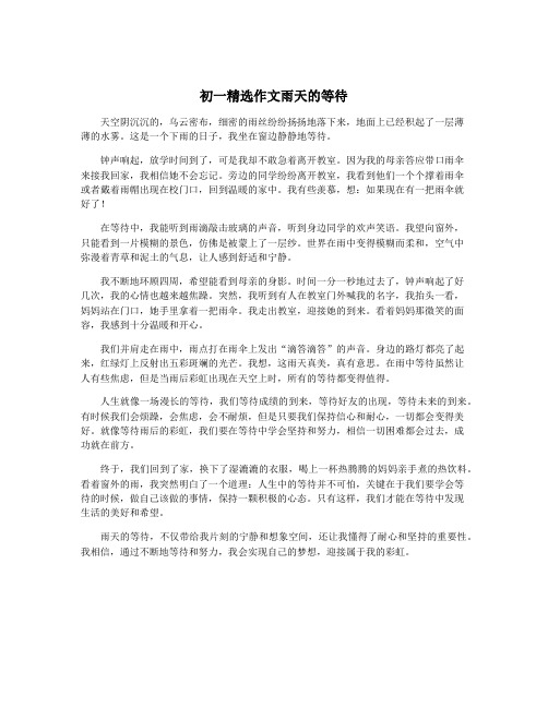 初一精选作文雨天的等待