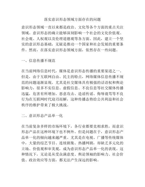 落实意识形态领域方面存在的问题