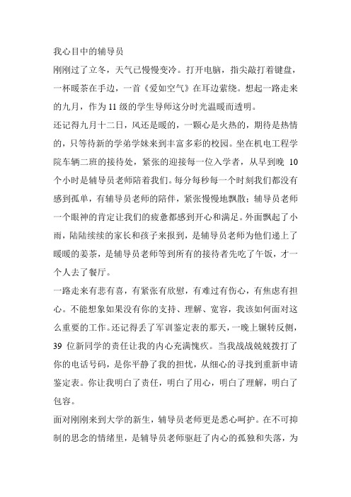我心目中的辅导员(1)