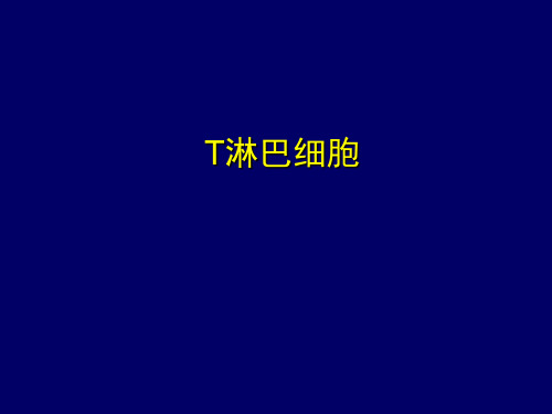 T细胞