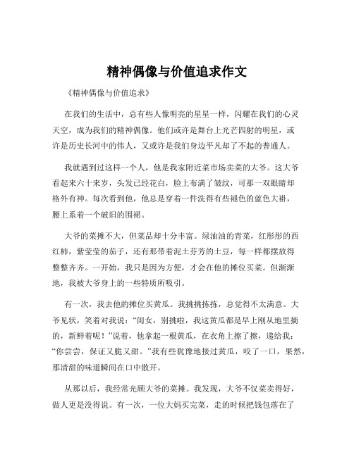 精神偶像与价值追求作文