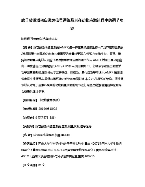 腺苷酸激活蛋白激酶信号通路及其在动物应激过程中的调节功能