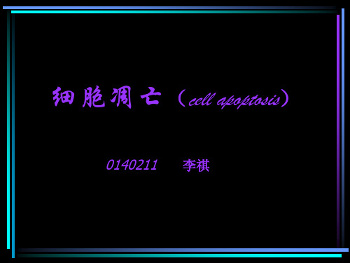 细胞凋亡.