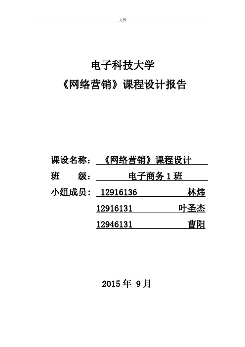 网络营销安踏网站分析报告