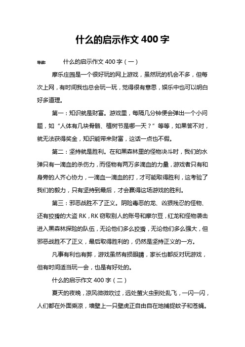 什么的启示作文400字