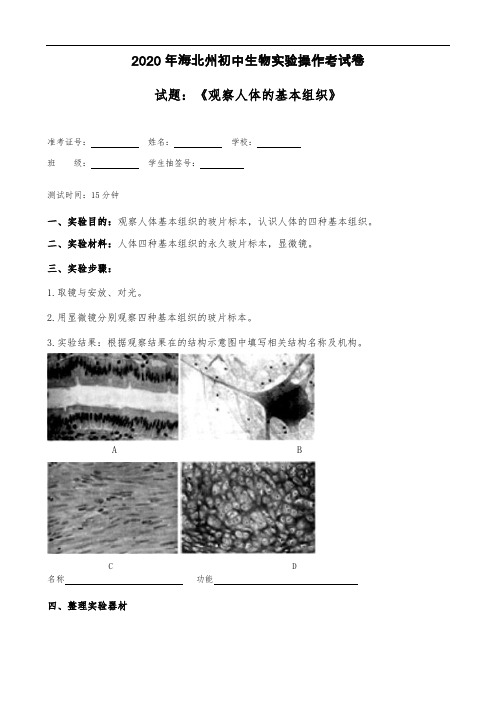 观察人体的基本组织