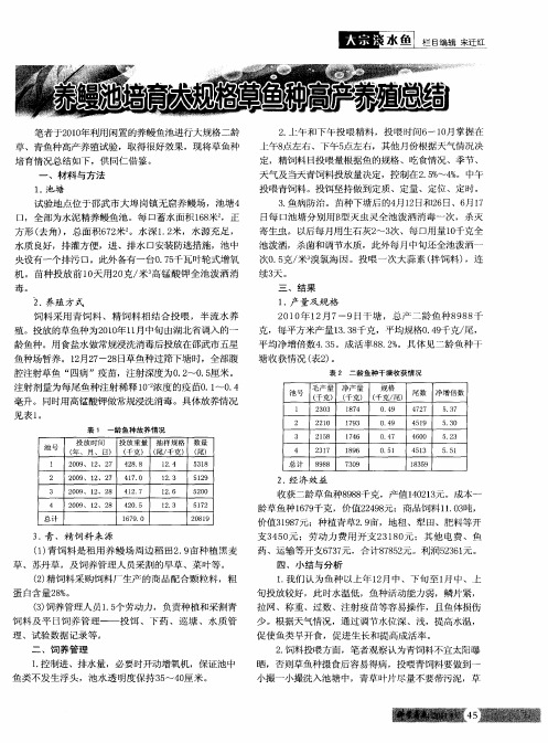 养鳗池培育大规格草鱼种高产养殖总结