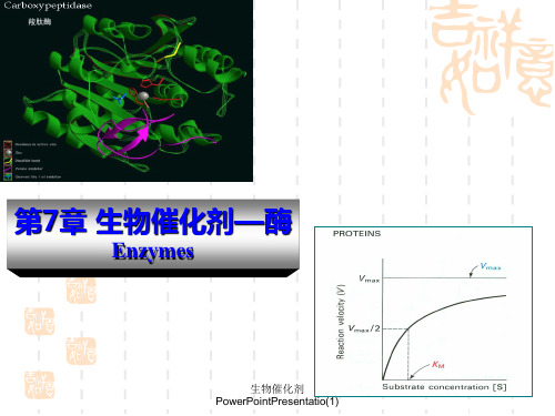 生物催化剂PowerPointPresentatio(1)