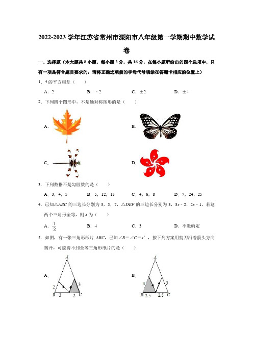 江苏省常州市溧阳市2022-2023学年八年级上学期期中数学试卷 (含答案)