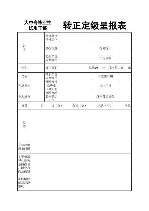 转正定级表