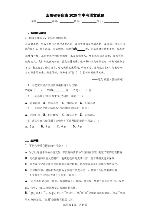 山东省枣庄市2020年中考语文试题
