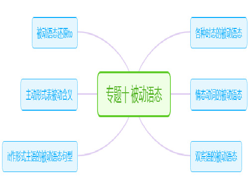 2020年中考专题十 被动语态(共13张PPT)