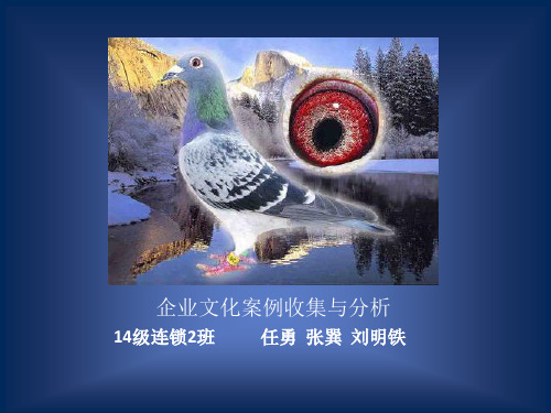 企业文化案例收集与分析