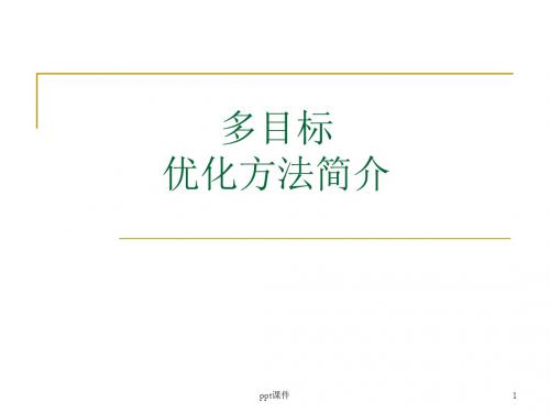 第十章 多目标优化方法简介  ppt课件