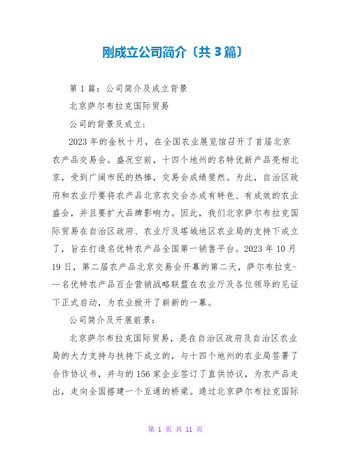 刚成立公司简介(共3篇)