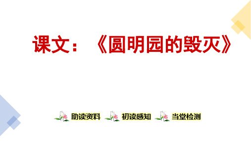 2020年信息技术与教育技术大作业二