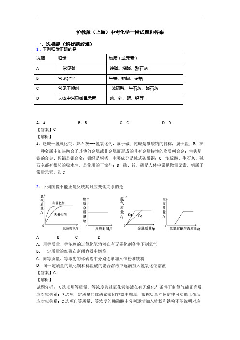 沪教版(上海)中考化学一模试题和答案