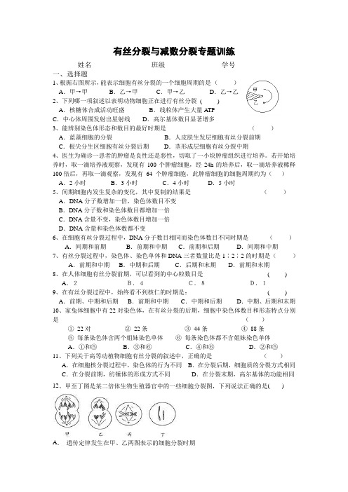 人教版高一生物《有丝分裂与减数分裂》专题训练含答案