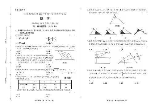 历年真题2017年山东省枣庄市中考初三九年级毕业考试数学真题试卷后附答案下载