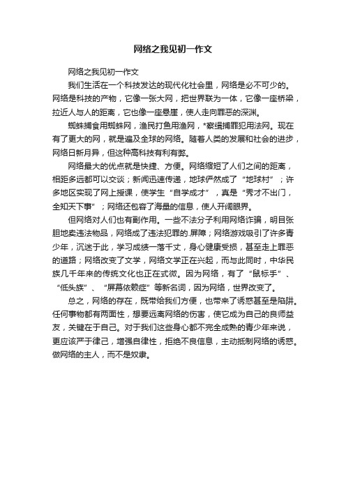 网络之我见初一作文