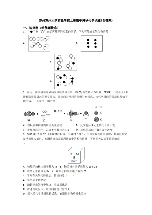 苏州苏州大学实验学校初三化学上册期中测试化学试题(含答案)