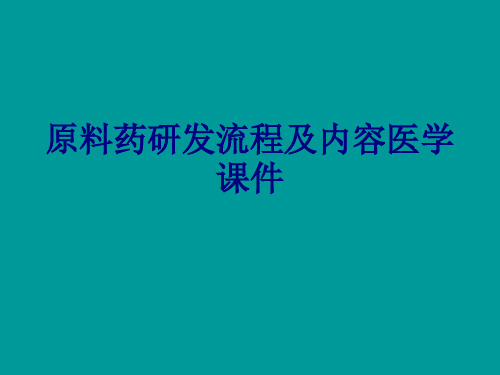 原料药研发流程及内容PPT培训课件