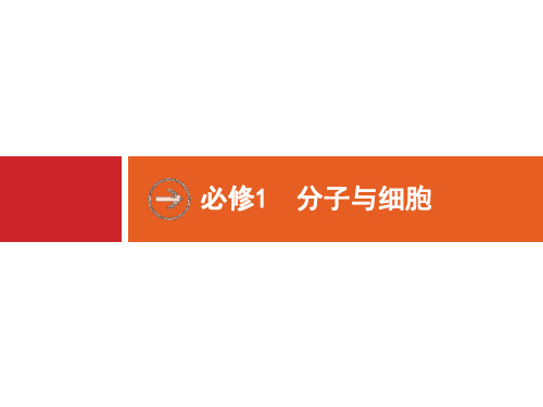 2020版广西高考生物人教一轮复习课件:第1单元 第1讲 走近细胞