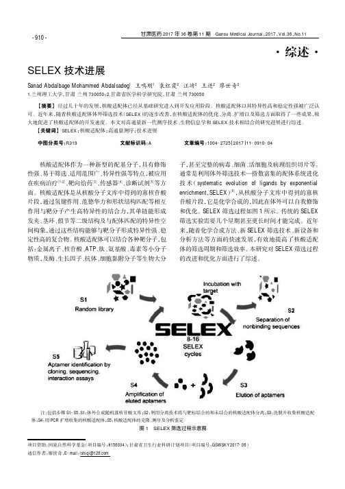 SELEX技术进展