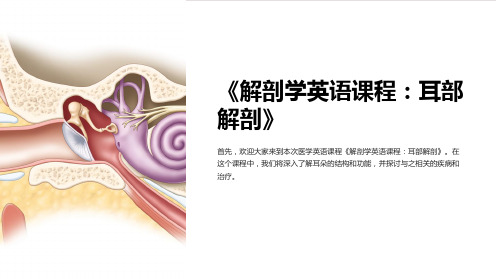 《医学英语课件：AnatomyoftheEar》