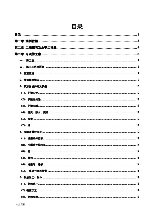 隧道预加固桩专项技术方案设计