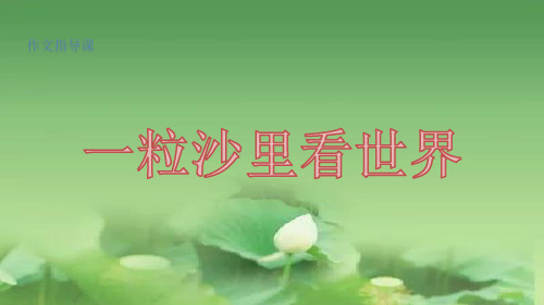 以小见大作文辅导.ppt