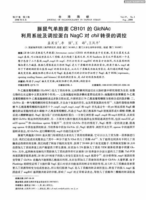 豚鼠气单胞菌CB101的GIcNAc利用系统及调控蛋白NagC对chil转录的调控