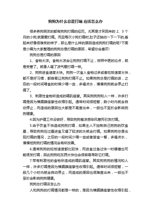 狗狗为什么总是打嗝应该怎么办