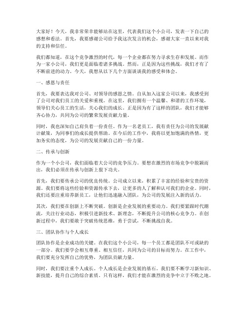 小公司年老总会发言稿