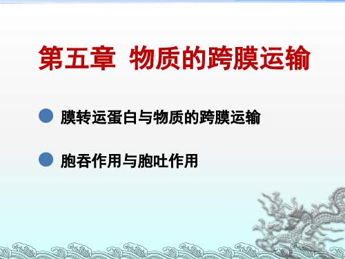 第五章 物质的跨膜运输——翟中和细胞生物学