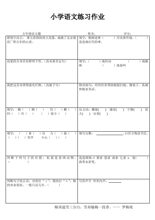 小学五年级语文精题选做II (42)