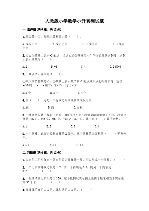 人教版小学数学小升初测试题附参考答案(精练)及完整答案(必刷)