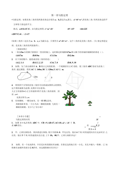 八年级上册期中考试复习学案.docx
