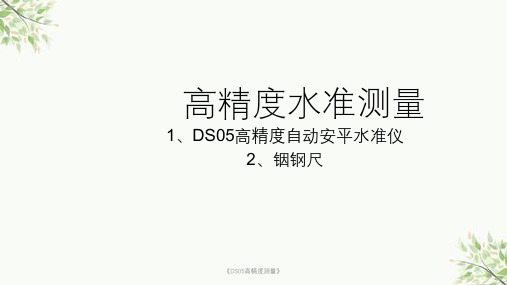 《DS05高精度测量》课件