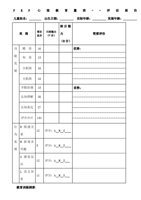 PEP孤独症儿童心理教育量表评估报告