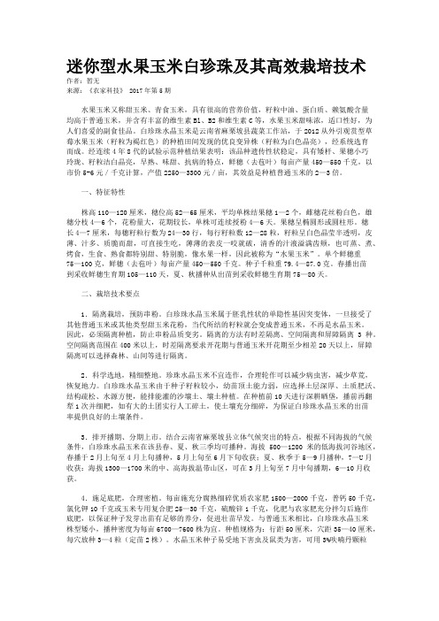 迷你型水果玉米白珍珠及其高效栽培技术