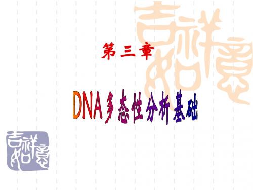 第3章 DNA多态性分析基础