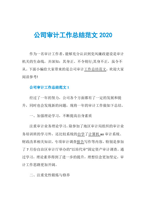 公司审计工作总结范文2020