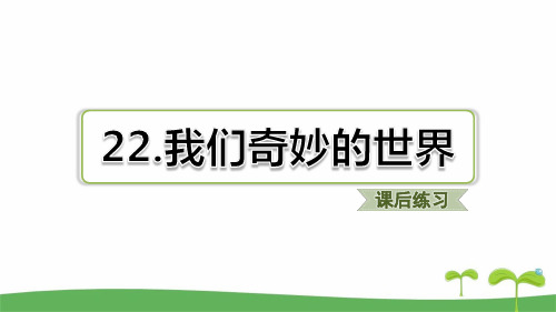 新部编版三年级下语文第22课 我们奇妙的世界课后练习题含答案